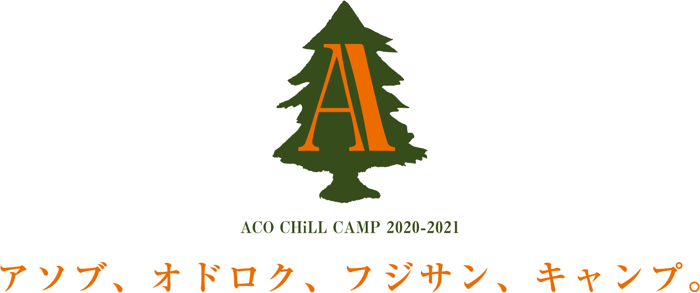 ACO CHiLL CAMP 2020-2021