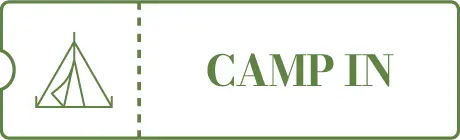 キャンプサイト券