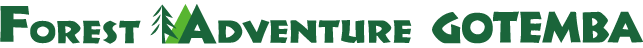 フォレストアドベンチャー